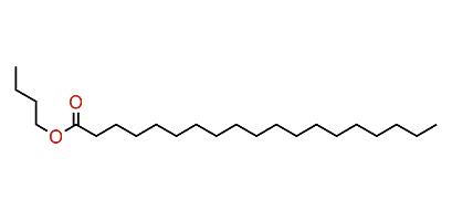 Butyl nonadecanoate